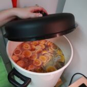  Sproing Pics (23/51)